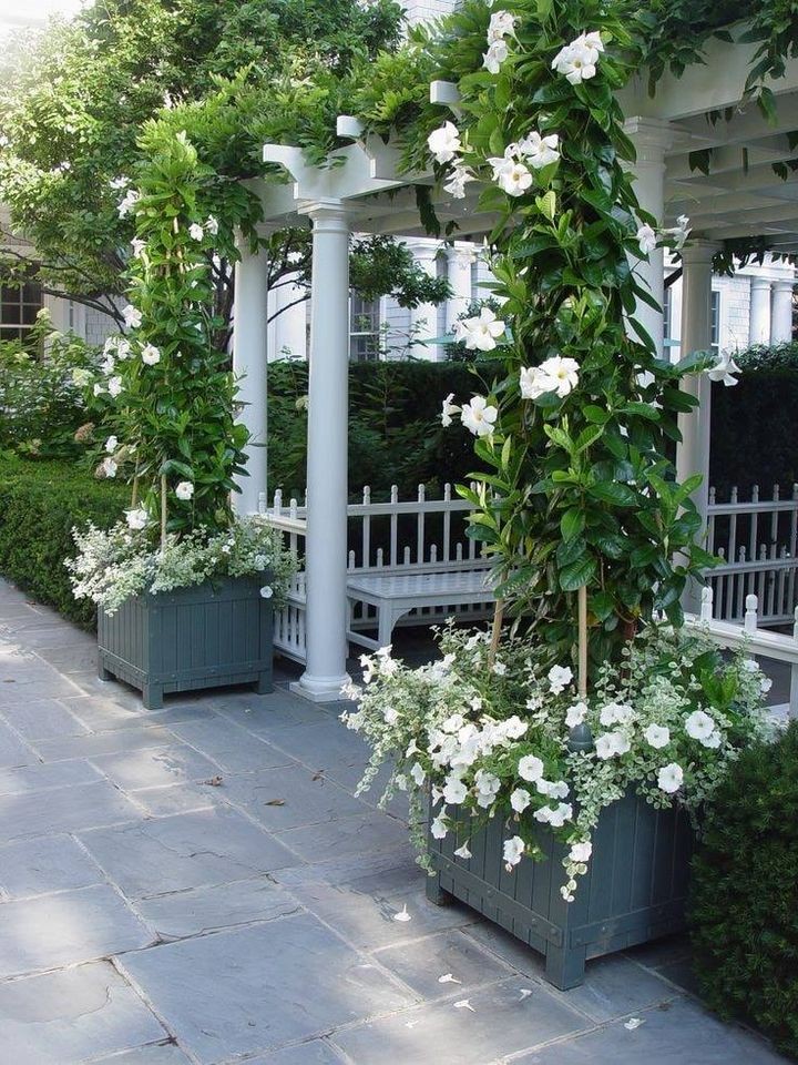 35 idées pour décorer une maison avec des plantes 12 35 idées pour décorer une maison avec des plantes 12