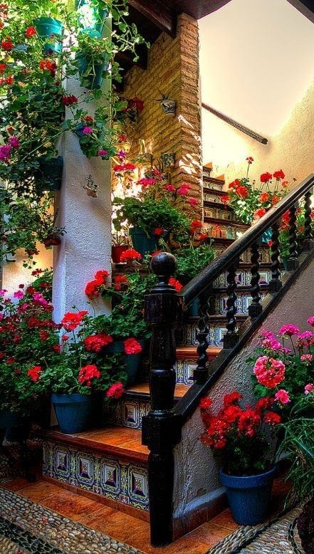 35 idées pour décorer une maison avec des plantes 17 35 idées pour décorer une maison avec des plantes 17