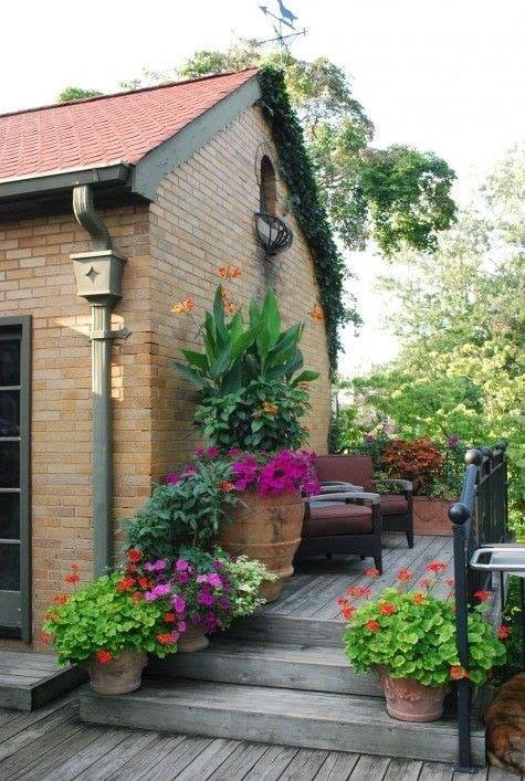 35 idées pour décorer une maison avec des plantes 31 35 idées pour décorer une maison avec des plantes 31