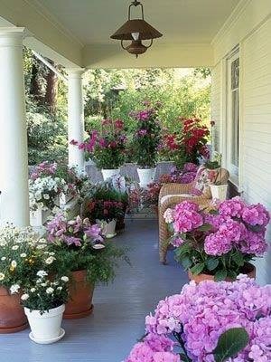 35 idées pour décorer une maison avec des plantes 32 35 idées pour décorer une maison avec des plantes 32