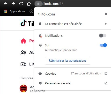 10 astuces peu connues pour bien utiliser TikTok sur PC 4 10 astuces peu connues pour bien utiliser TikTok sur PC 4