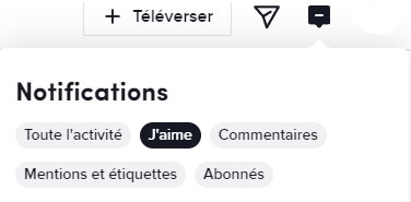 10 astuces peu connues pour bien utiliser TikTok sur PC 7 10 astuces peu connues pour bien utiliser TikTok sur PC 7