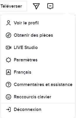 10 astuces peu connues pour bien utiliser TikTok sur PC 8 10 astuces peu connues pour bien utiliser TikTok sur PC 8