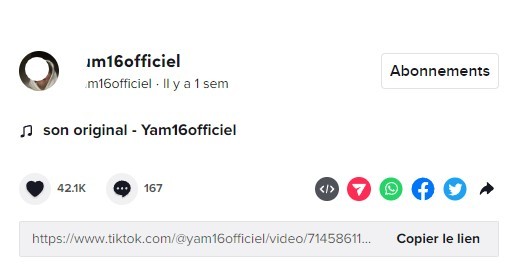 10 astuces peu connues pour bien utiliser TikTok sur PC 9 10 astuces peu connues pour bien utiliser TikTok sur PC 9
