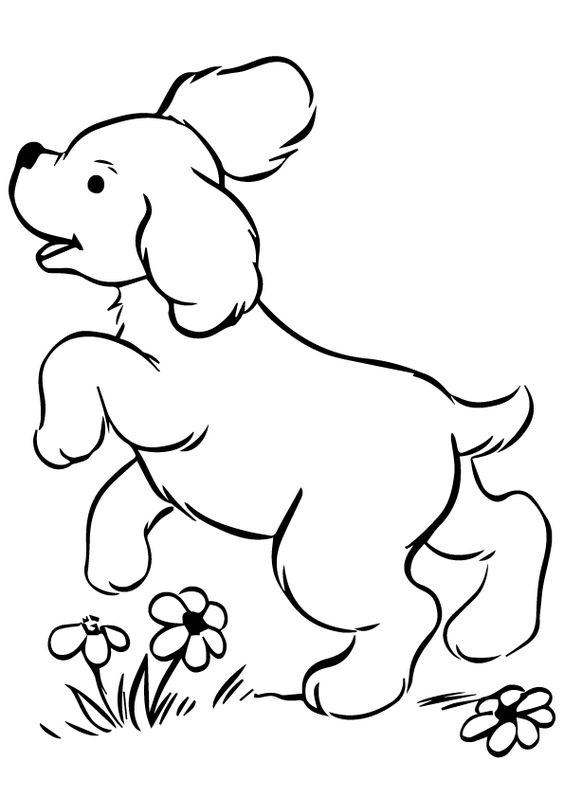 50 top idées de coloriages chiens à imprimer 1