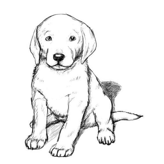 50 top idées de coloriages chiens à imprimer 2