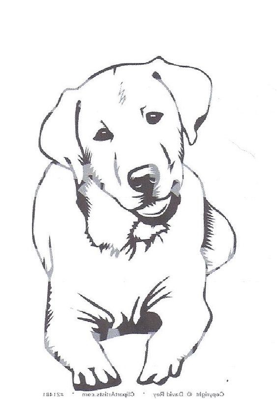 50 top idées de coloriages chiens à imprimer 4