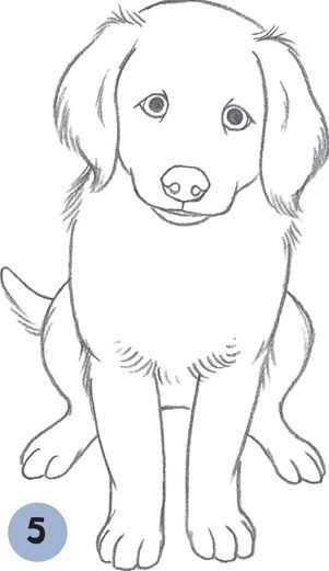 50 top idées de coloriages chiens à imprimer 5