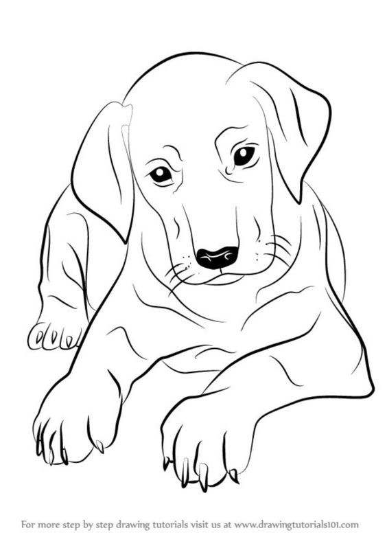 50 top idées de coloriages chiens à imprimer 6