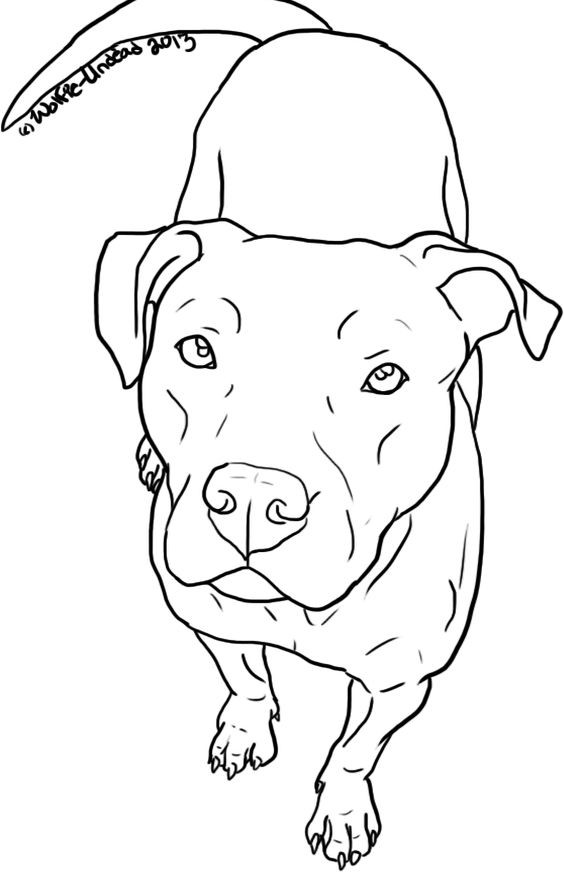 50 top idées de coloriages chiens à imprimer 7
