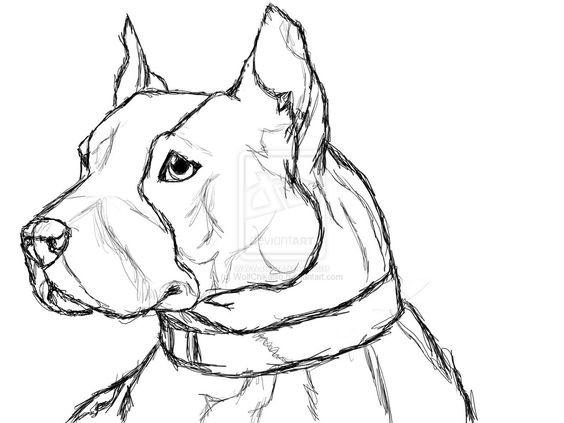 50 top idées de coloriages chiens à imprimer 10