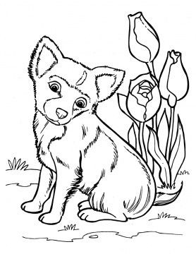 50 top idées de coloriages chiens à imprimer 12