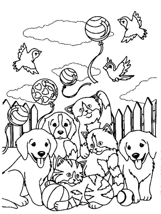 50 top idées de coloriages chiens à imprimer 13
