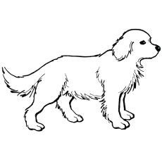 50 top idées de coloriages chiens à imprimer 14
