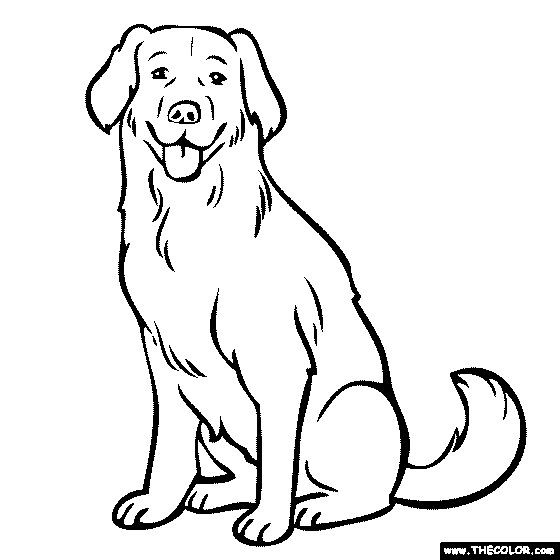 50 top idées de coloriages chiens à imprimer 25