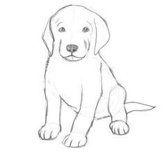 50 top idées de coloriages chiens à imprimer 27