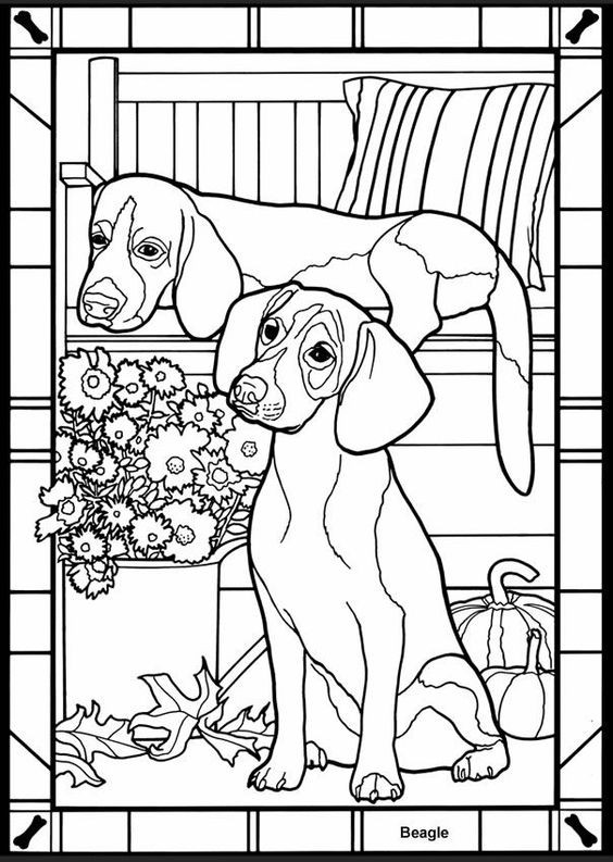 50 top idées de coloriages chiens à imprimer 30
