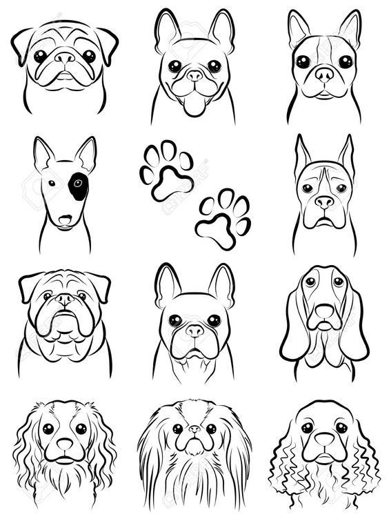 50 top idées de coloriages chiens à imprimer 33