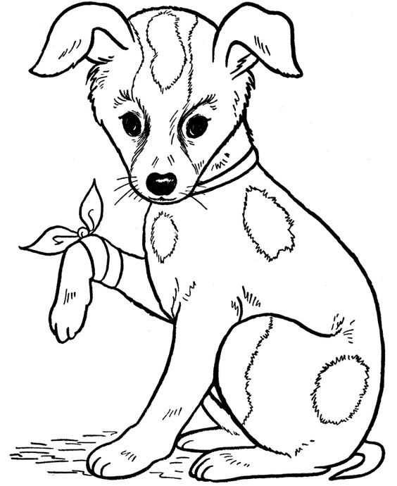 50 top idées de coloriages chiens à imprimer 34