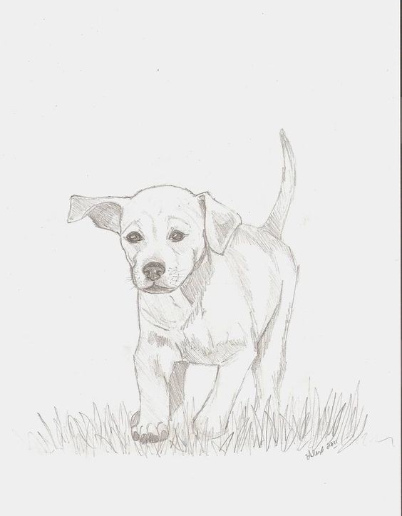 50 top idées de coloriages chiens à imprimer 35