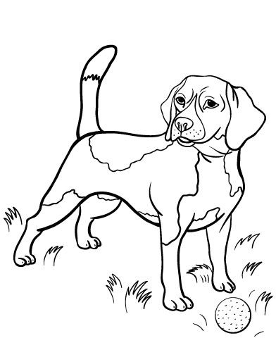 50 top idées de coloriages chiens à imprimer 36