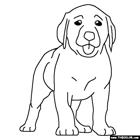 50 top idées de coloriages chiens à imprimer 37