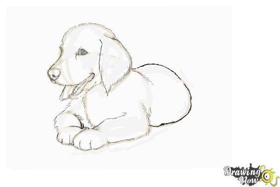 50 top idées de coloriages chiens à imprimer 40