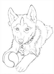 50 top idées de coloriages chiens à imprimer 46
