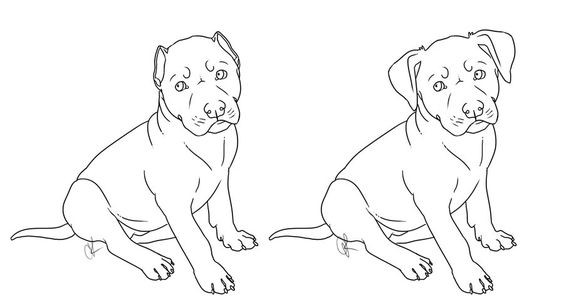 50 top idées de coloriages chiens à imprimer 49