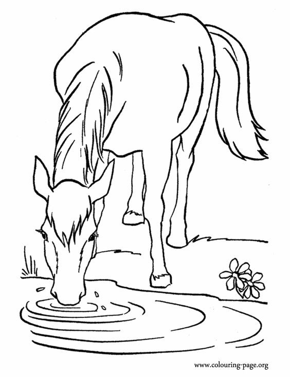50 top idées de coloriages cheval à imprimer 1 50 top idées de coloriages cheval à imprimer 1