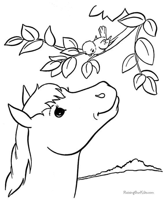 50 top idées de coloriages cheval à imprimer 3 50 top idées de coloriages cheval à imprimer 3
