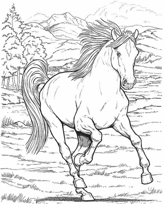 50 top idées de coloriages cheval à imprimer 5 50 top idées de coloriages cheval à imprimer 5