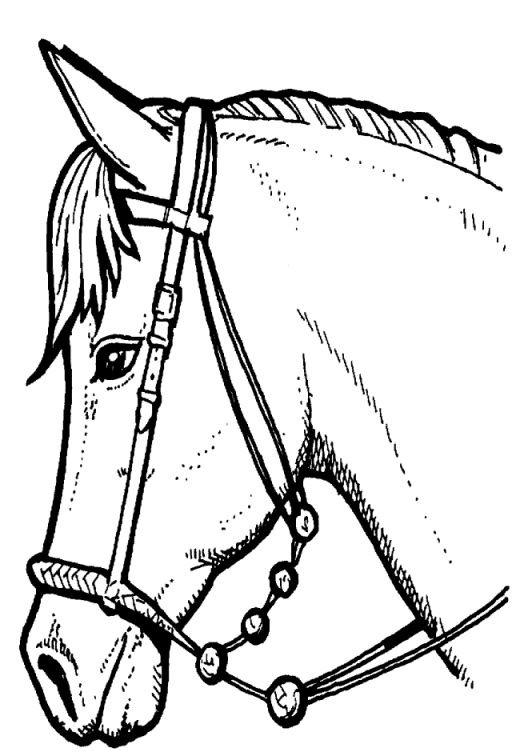 50 top idées de coloriages cheval à imprimer 6 50 top idées de coloriages cheval à imprimer 6