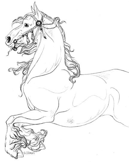 50 top idées de coloriages cheval à imprimer 15 50 top idées de coloriages cheval à imprimer 15