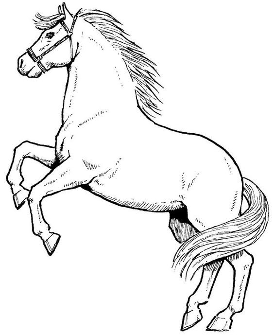 50 top idées de coloriages cheval à imprimer 18 50 top idées de coloriages cheval à imprimer 18