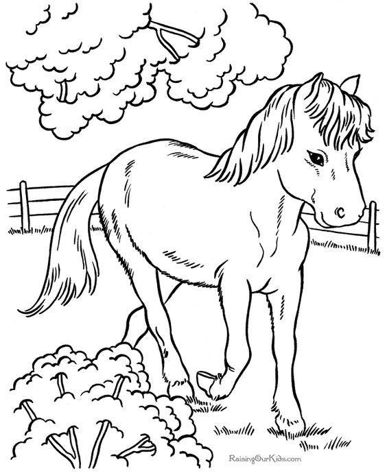 50 top idées de coloriages cheval à imprimer 20 50 top idées de coloriages cheval à imprimer 20