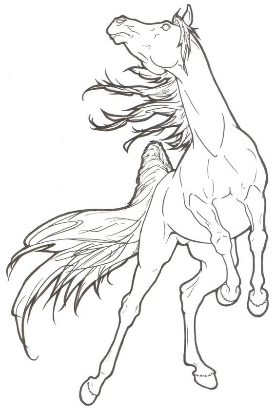 50 top idées de coloriages cheval à imprimer 23 50 top idées de coloriages cheval à imprimer 23