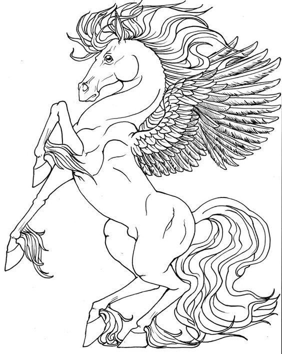 50 top idées de coloriages cheval à imprimer 24 50 top idées de coloriages cheval à imprimer 24