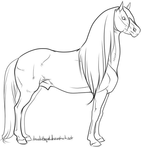 50 top idées de coloriages cheval à imprimer 25 50 top idées de coloriages cheval à imprimer 25