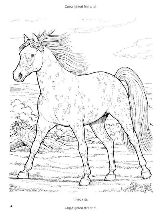 50 top idées de coloriages cheval à imprimer 26 50 top idées de coloriages cheval à imprimer 26