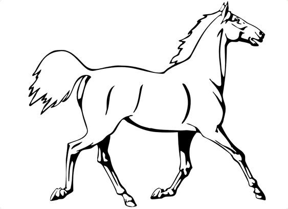 50 top idées de coloriages cheval à imprimer 27 50 top idées de coloriages cheval à imprimer 27