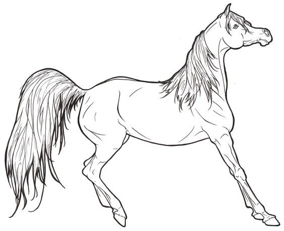 50 top idées de coloriages cheval à imprimer 34 50 top idées de coloriages cheval à imprimer 34