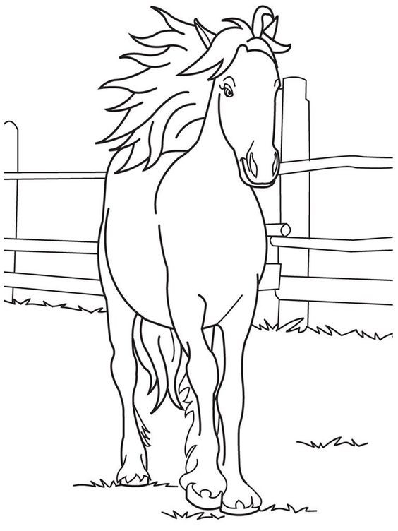50 top idées de coloriages cheval à imprimer 38 50 top idées de coloriages cheval à imprimer 38