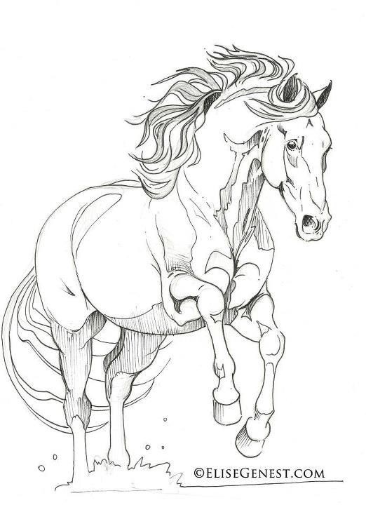 50 top idées de coloriages cheval à imprimer 44 50 top idées de coloriages cheval à imprimer 44