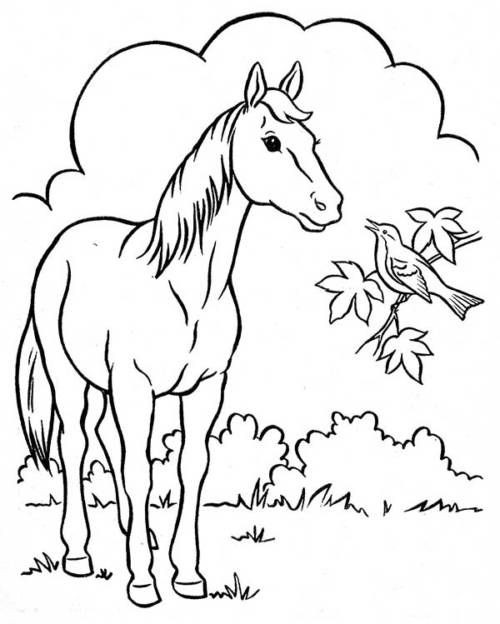 50 top idées de coloriages cheval à imprimer 49 50 top idées de coloriages cheval à imprimer 49
