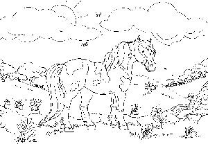 50 top idées de coloriages cheval à imprimer 51 50 top idées de coloriages cheval à imprimer 51