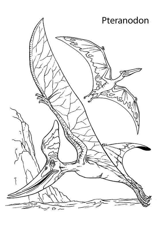 50 top idées de coloriages dinosaure à imprimer 17 50 top idées de coloriages dinosaure à imprimer 17