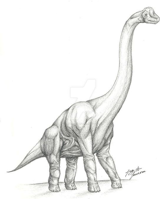 50 top idées de coloriages dinosaure à imprimer 23 50 top idées de coloriages dinosaure à imprimer 23