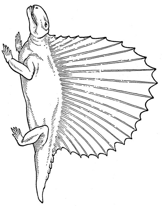 50 top idées de coloriages dinosaure à imprimer 25 50 top idées de coloriages dinosaure à imprimer 25