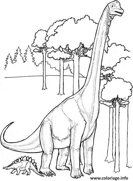 50 top idées de coloriages dinosaure à imprimer 31 50 top idées de coloriages dinosaure à imprimer 31